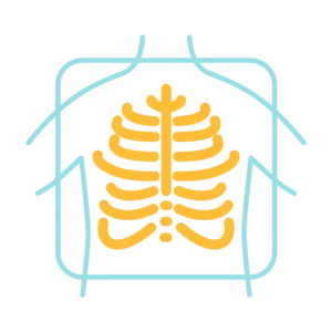Your X-Rays or CT Scans
